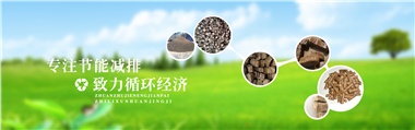 倪維斗院士：通過技術(shù)創(chuàng)新，大力發(fā)展超級能源生物質(zhì)燃料